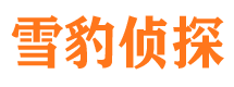 路北侦探公司